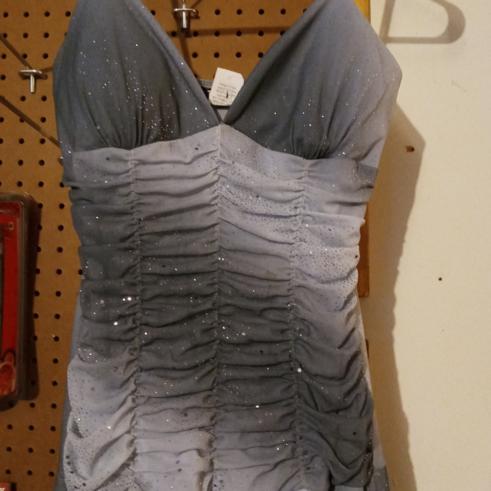 Sparkly Grey Dress
